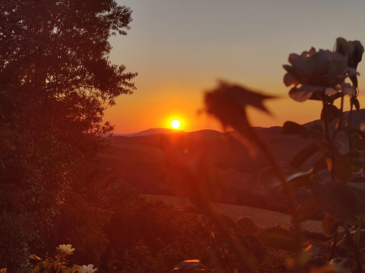 B&B La Terrazza Del Subasio Assisi Bagian luar foto