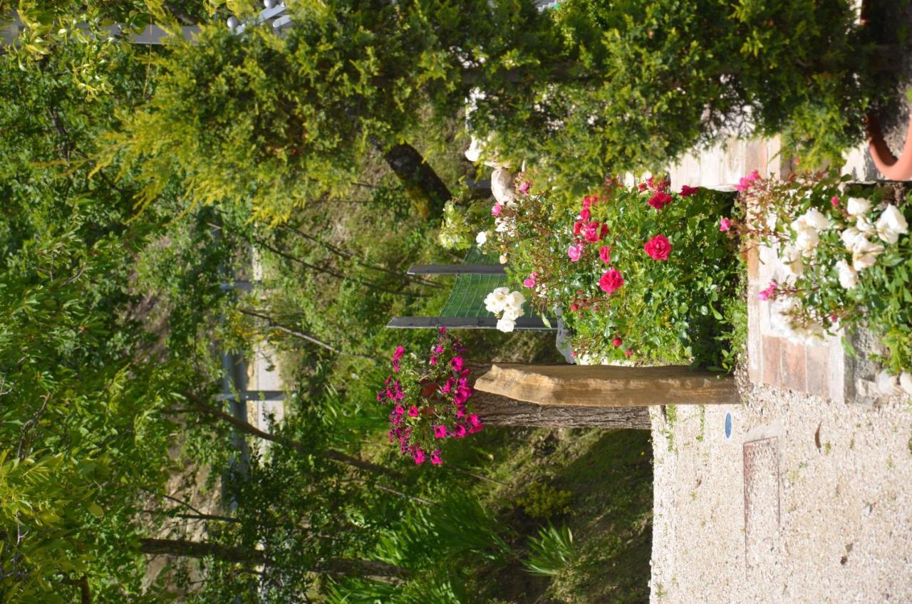 B&B La Terrazza Del Subasio Assisi Bagian luar foto