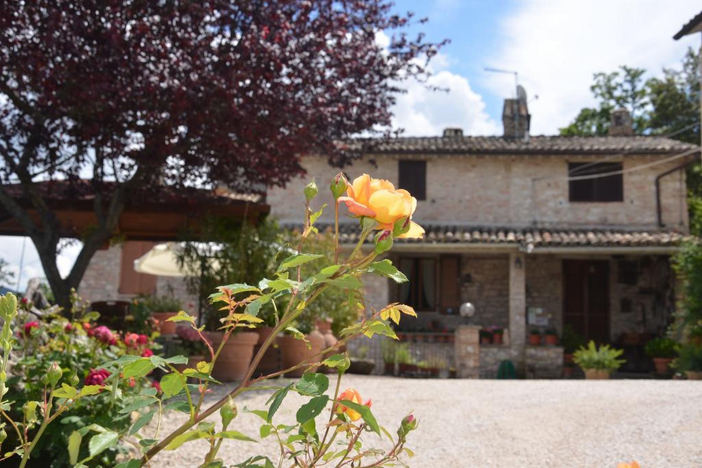 B&B La Terrazza Del Subasio Assisi Bagian luar foto