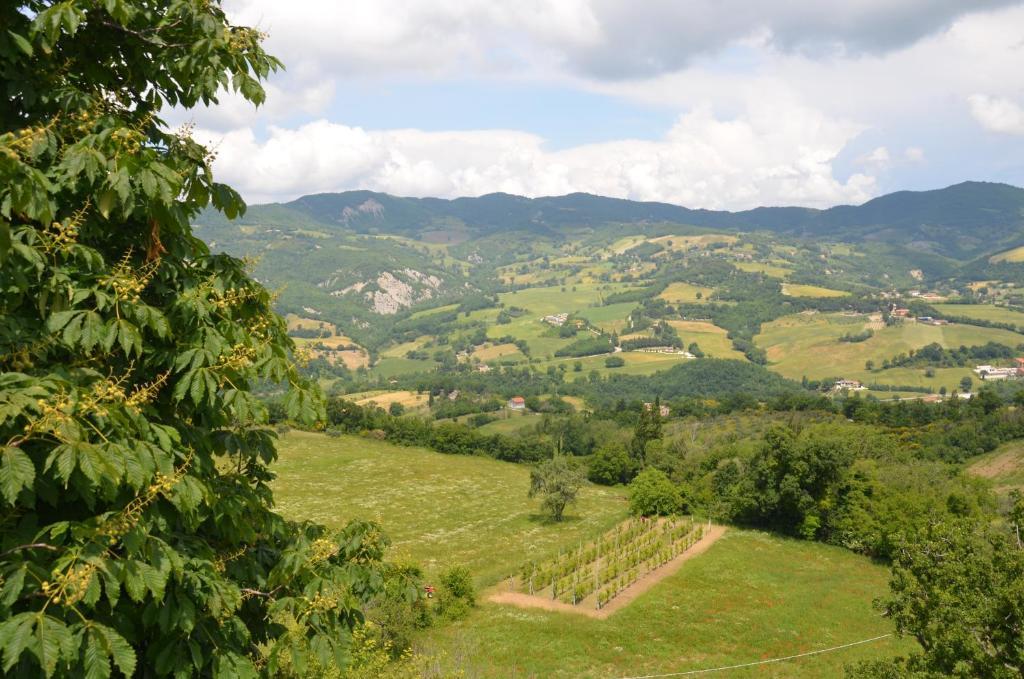 B&B La Terrazza Del Subasio Assisi Bagian luar foto
