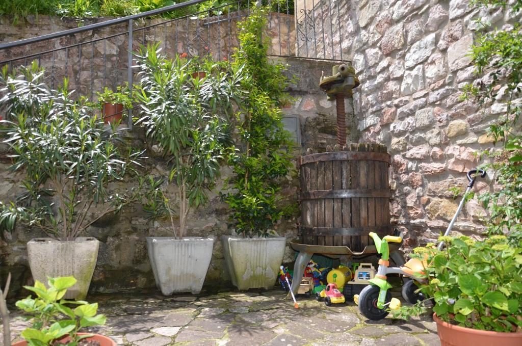 B&B La Terrazza Del Subasio Assisi Bagian luar foto