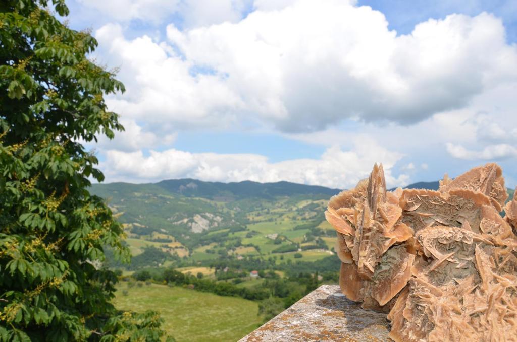 B&B La Terrazza Del Subasio Assisi Bagian luar foto